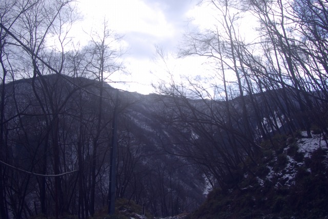 e0183804_049379.jpg