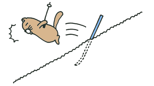 20100116-2.gif