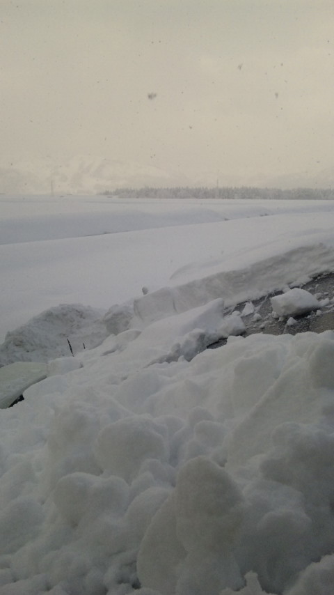 f0121909_8542068.jpg