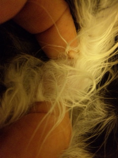 c0201113_2123788.jpg