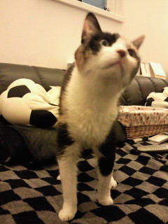 c0201113_21285411.jpg