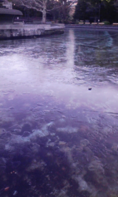 e0009714_17524163.jpg