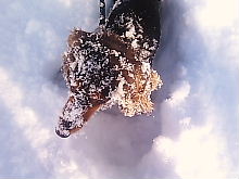 a0111618_12322455.jpg