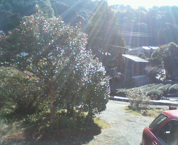 f0036223_1193437.jpg