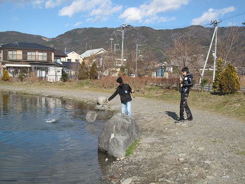 d0137029_1758452.jpg