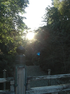 f0009451_15414848.jpg