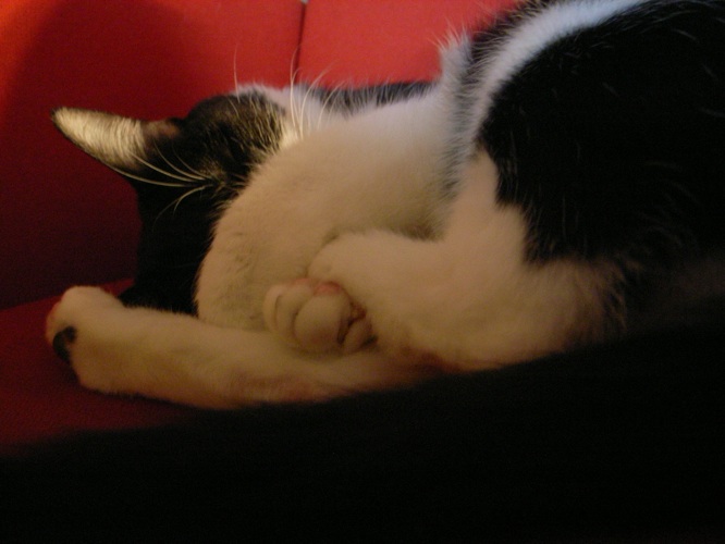 c0138553_1051312.jpg