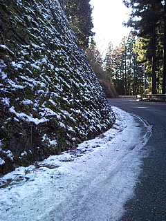 a0157160_2157946.jpg