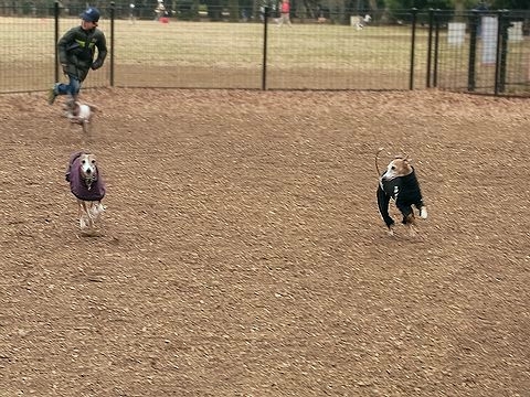 f0158862_2041361.jpg