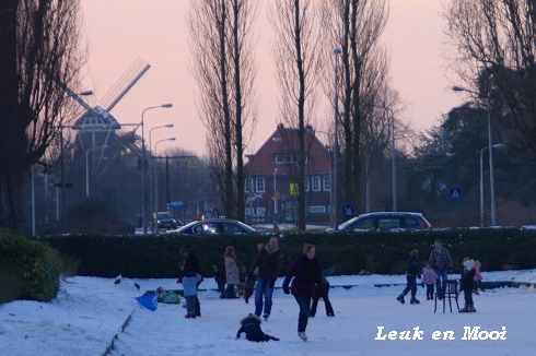f0177666_5532643.jpg