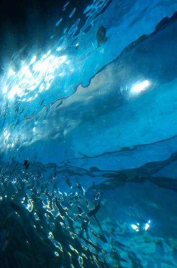 e0128367_323562.jpg