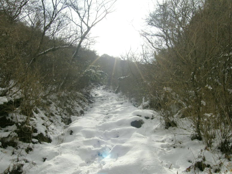 c0042869_1957409.jpg