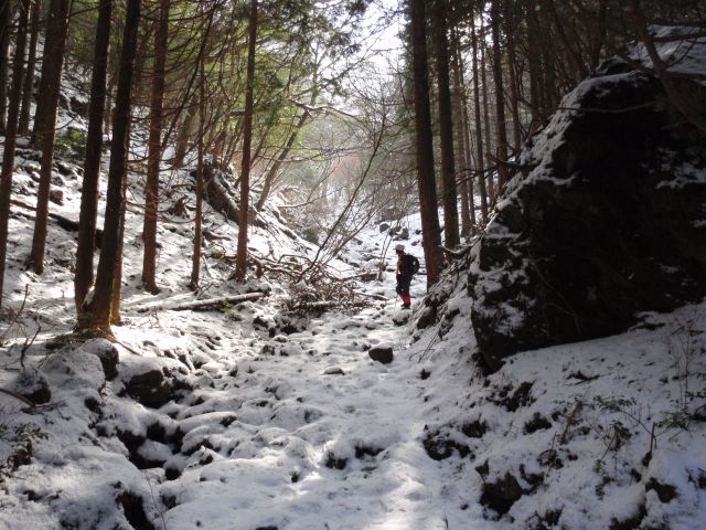 c0042869_2001825.jpg