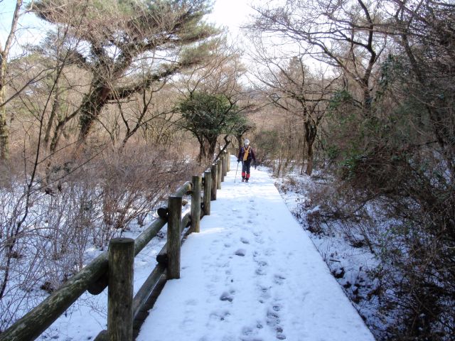 c0042869_2011578.jpg