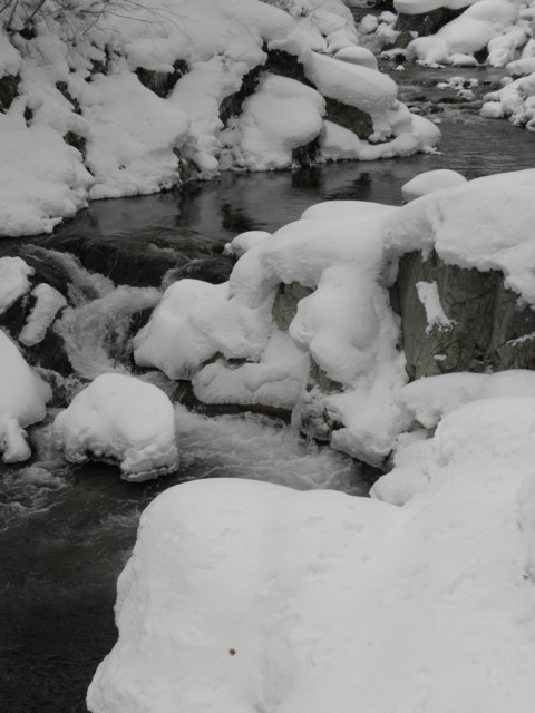 d0134473_15285424.jpg