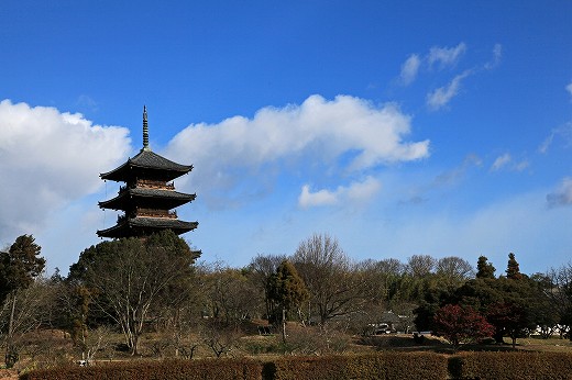 e0190885_185611.jpg