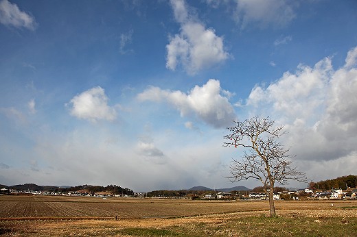 e0190885_18571293.jpg