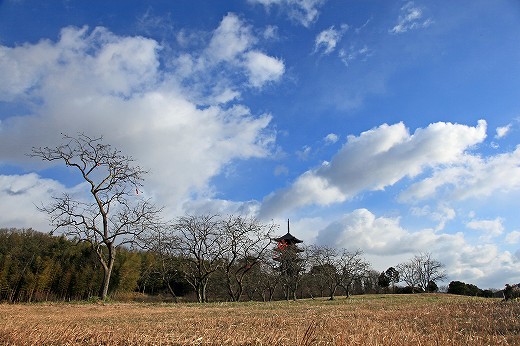e0190885_18573172.jpg
