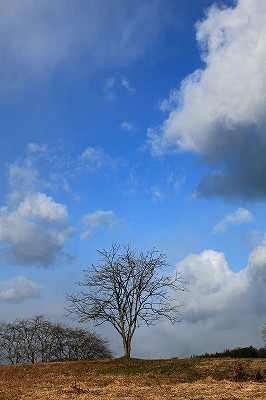 e0190885_18574295.jpg