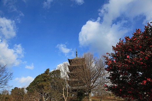 e0190885_18574943.jpg