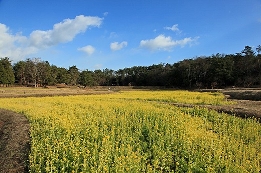 e0190885_1858351.jpg