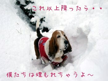f0205887_18504637.jpg