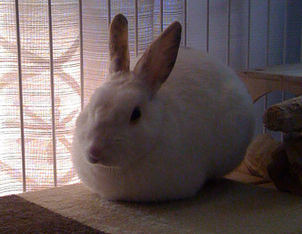 f0201191_2242443.jpg