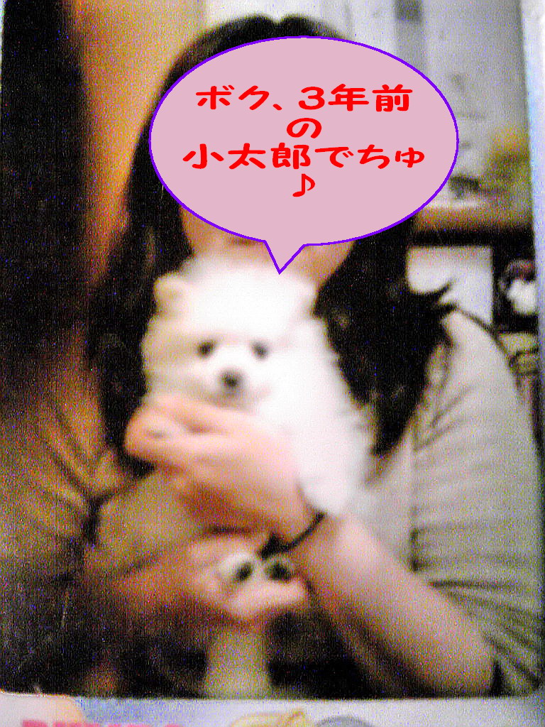 c0138198_1127231.jpg