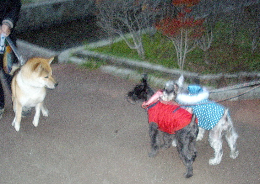 c0138198_9232580.jpg