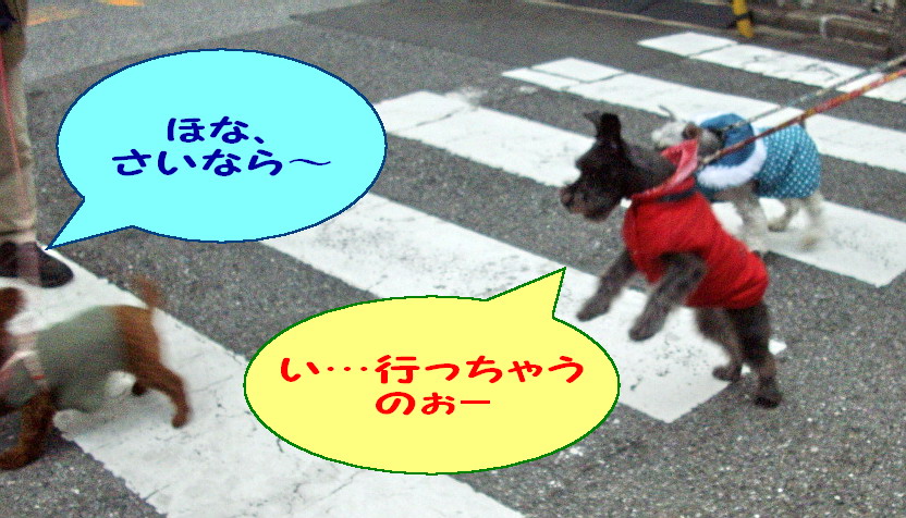 c0138198_9261436.jpg