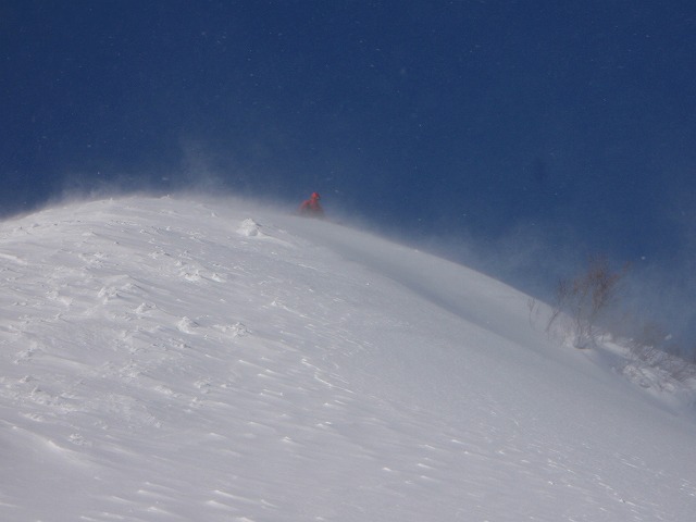 c0147398_0165212.jpg