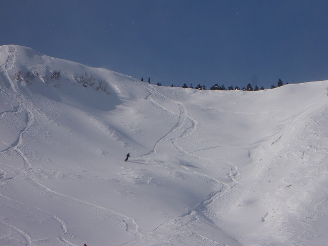 c0147398_0181195.jpg