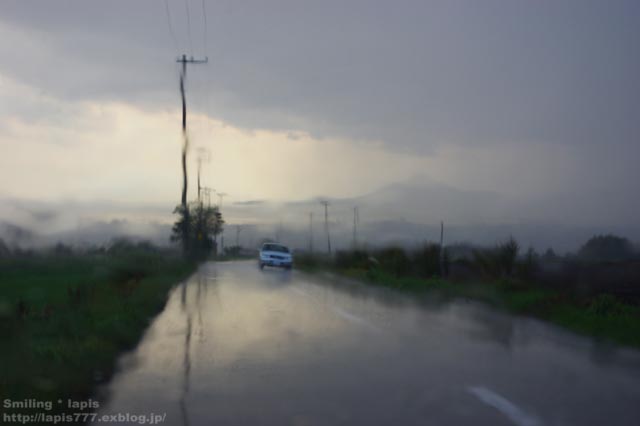 d0138899_17134127.jpg