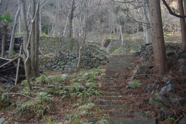 e0183804_1527148.jpg