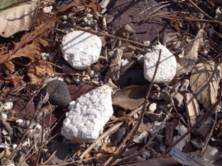 c0092408_1556866.jpg