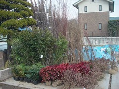 c0190010_15585531.jpg