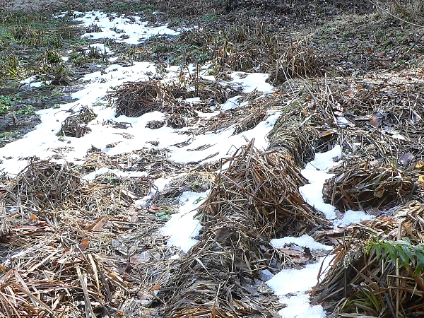 e0002314_230650.jpg