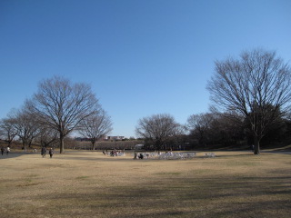 c0185516_2220283.jpg