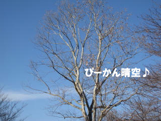 c0185516_22215070.jpg