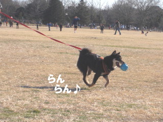 c0185516_22271730.jpg