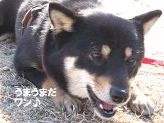 c0185516_22283049.jpg