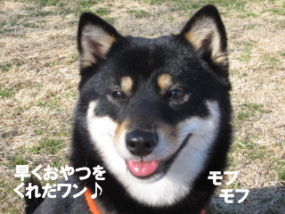 c0185516_2240018.jpg