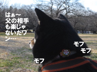 c0185516_22402520.jpg