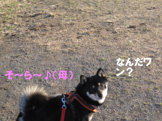 c0185516_22424382.jpg
