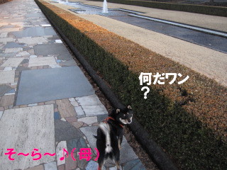 c0185516_22432258.jpg
