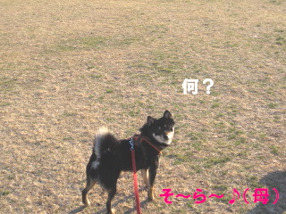 c0185516_2243246.jpg