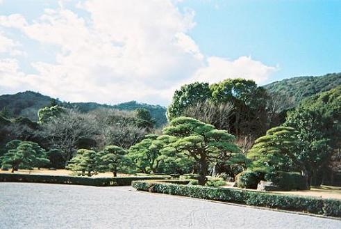 a0053420_12153673.jpg