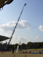 f0143521_2433021.jpg