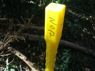 f0177521_13472641.jpg