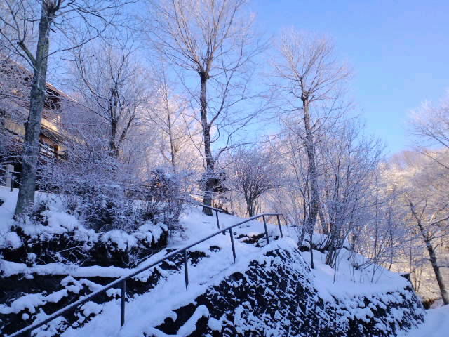 f0098728_21253057.jpg